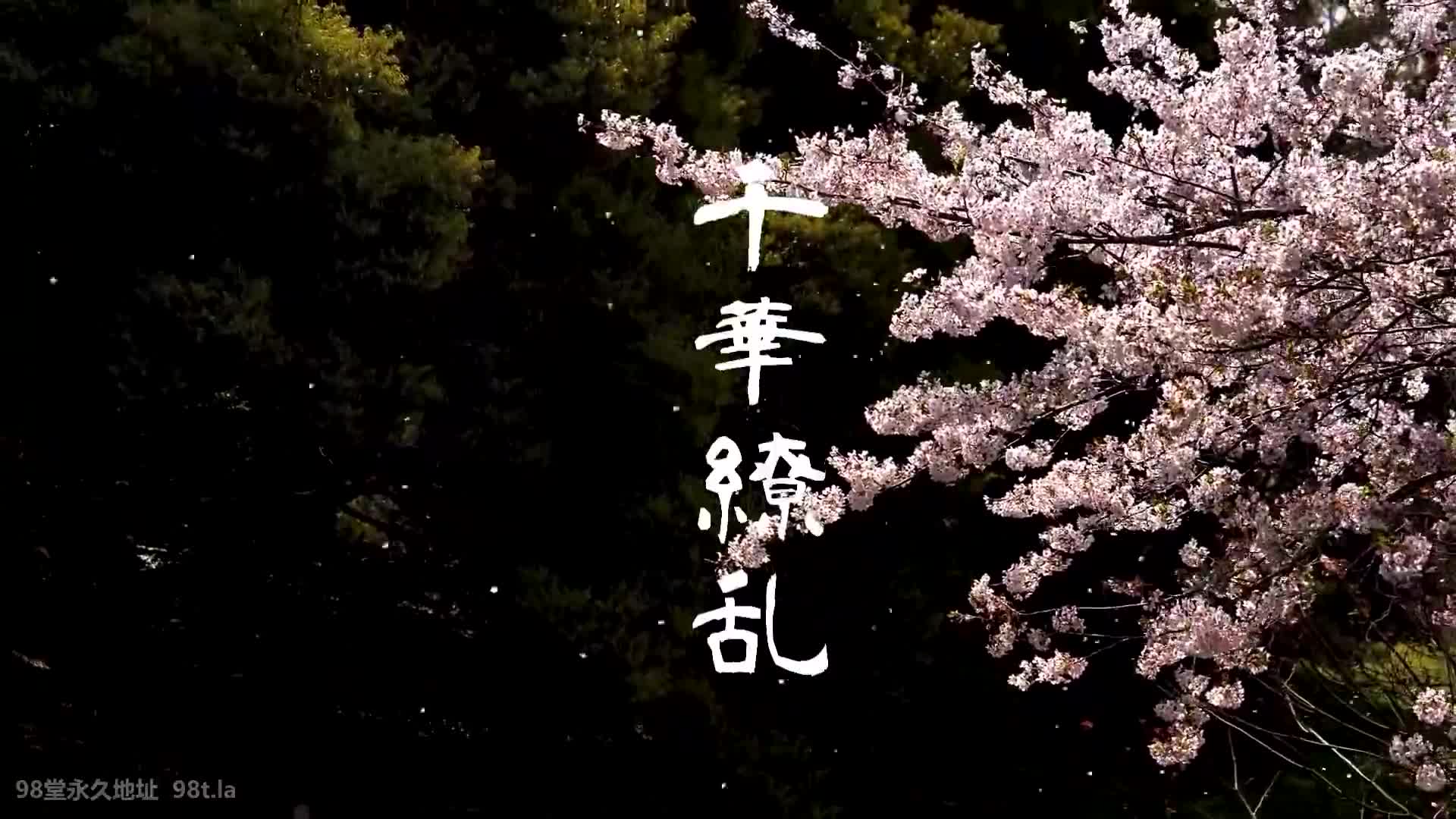 FC2-PPV-3637609 【美丽小天使】