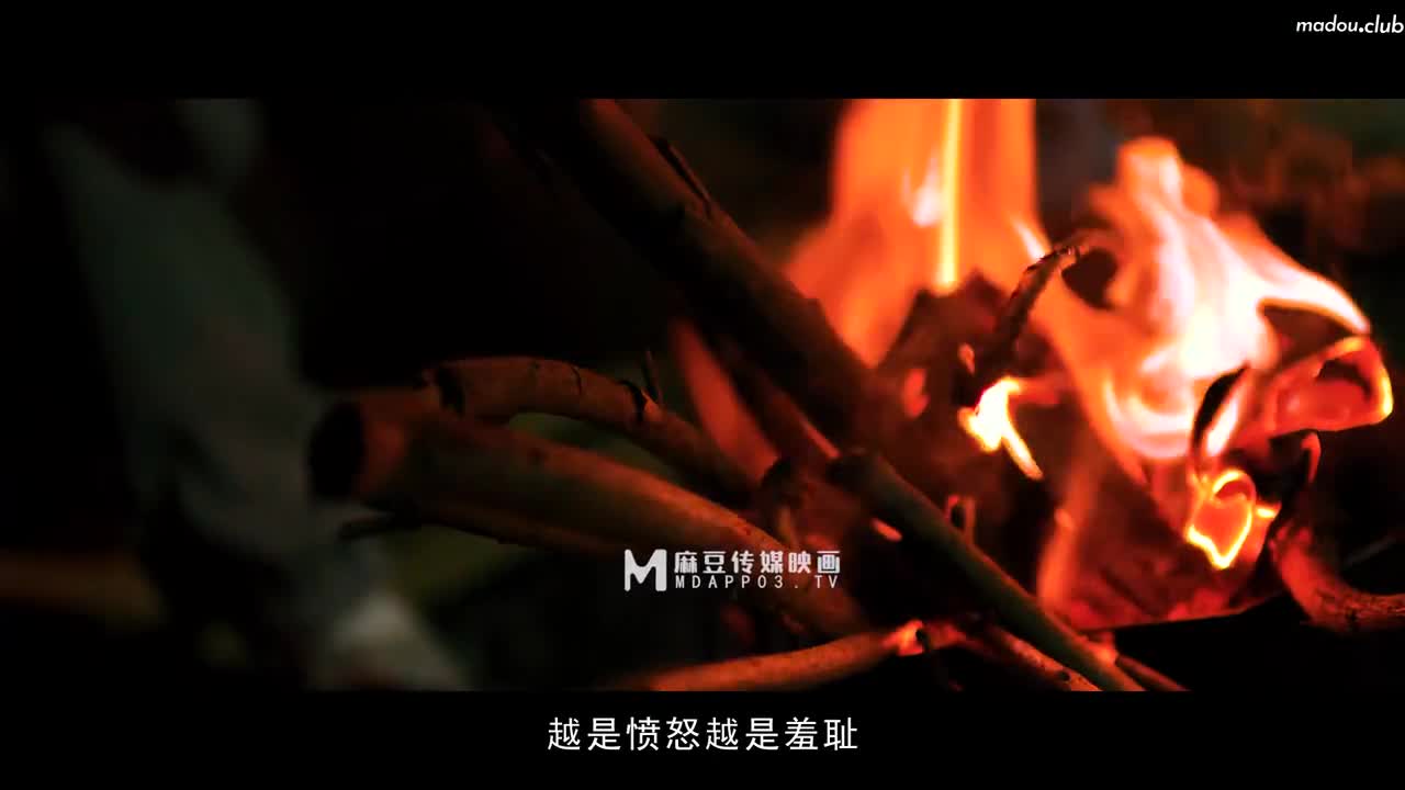 MDL0006 寄生下流 致敬奥斯卡经典长片