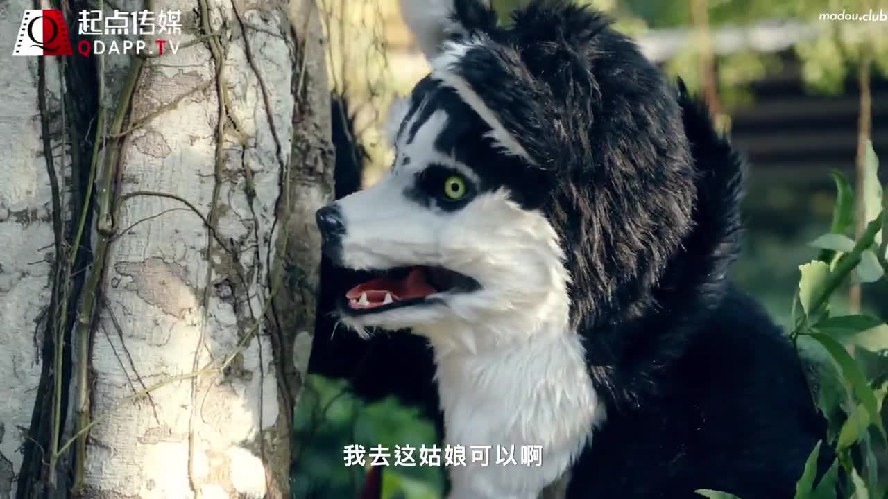 XSJ004 大红帽与小野狼