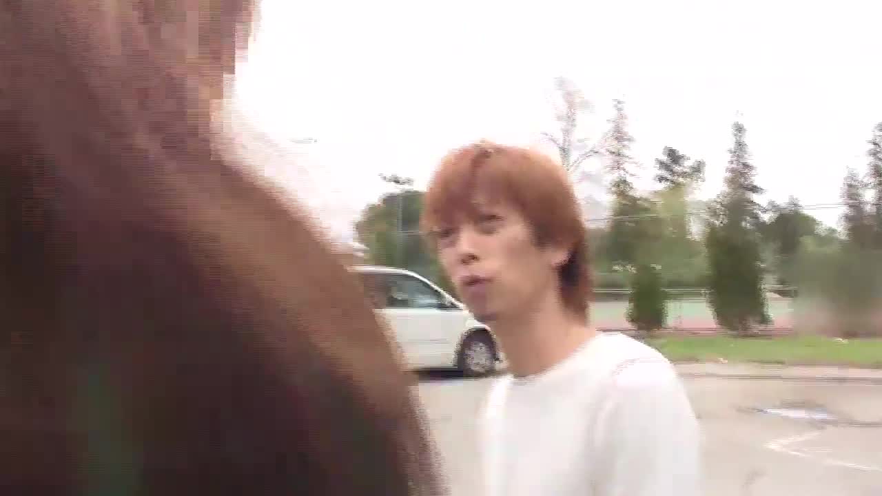 sekao-142