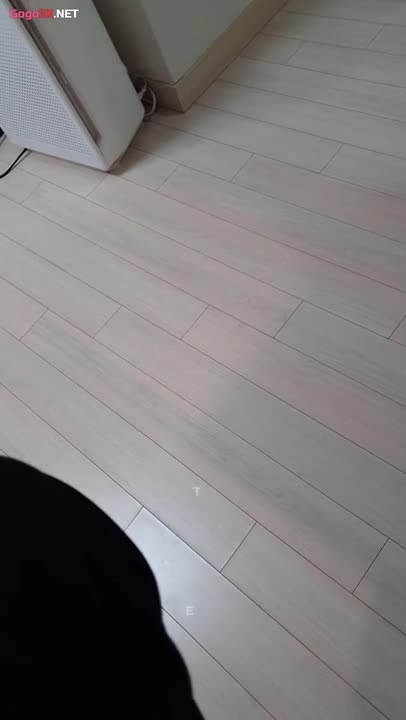 [韓國] 美乳小母狗約啪～趴好在床翹起美尻任由金小哥進出