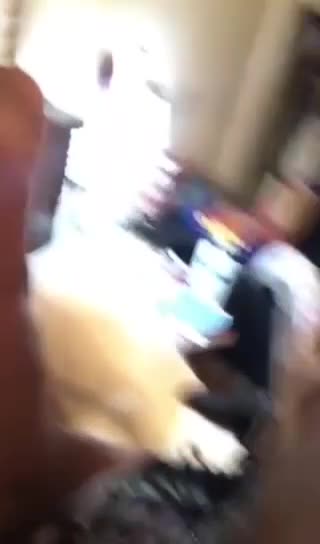 印度阿三狗推式