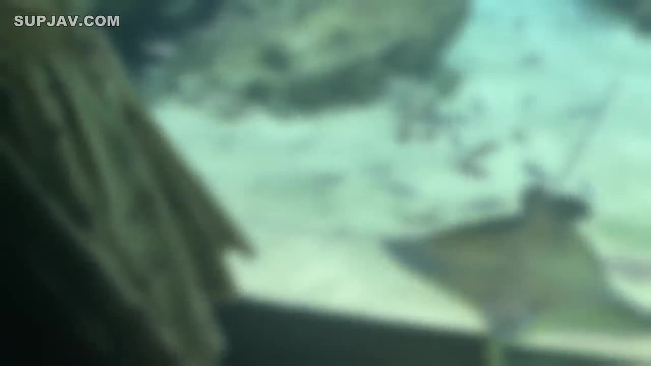 FC2-PPV-3799208 相约海底世界水族馆的大眼睛少女，身材肉肉的素人